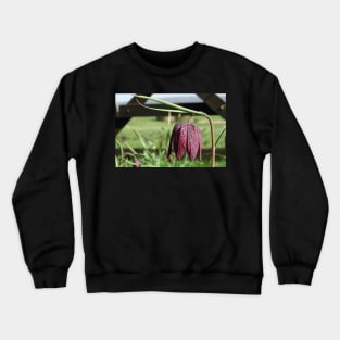 Leper Lily Crewneck Sweatshirt